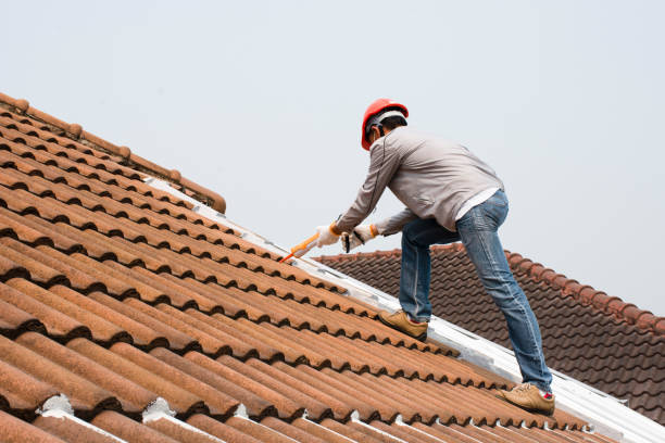 Best Asphalt Shingle Roofing  in Grifton, NC